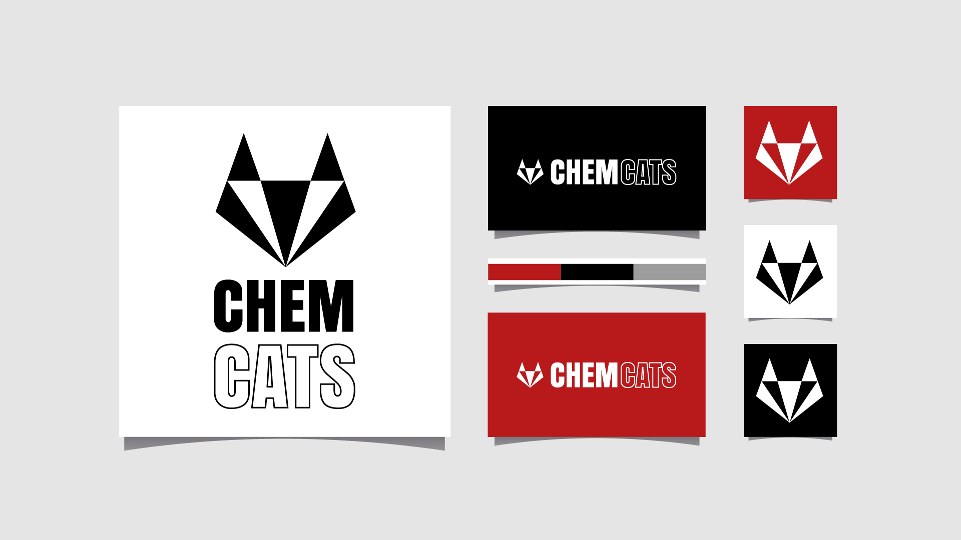 ChemCats - Branding - Werbeagentur Chemnitz