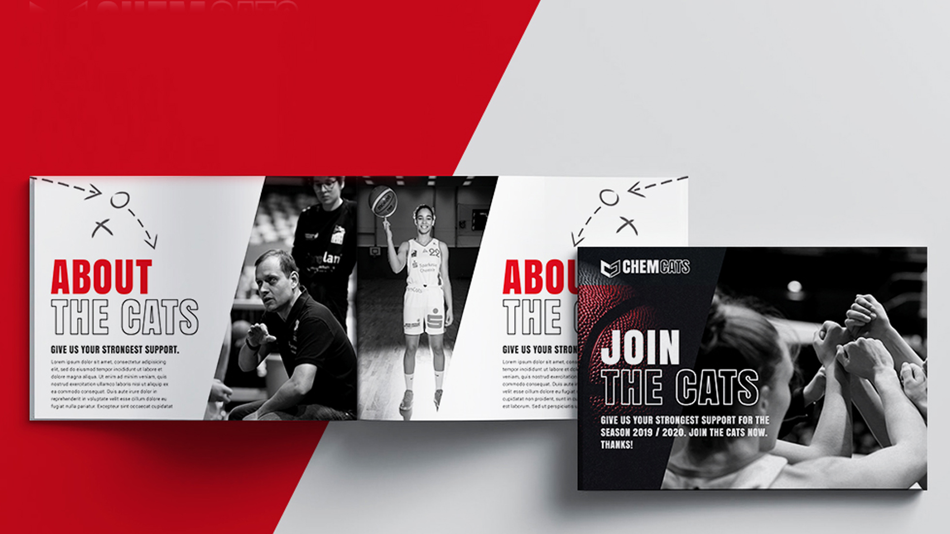 ChemCats - Broschüre - Werbeagentur Chemnitz