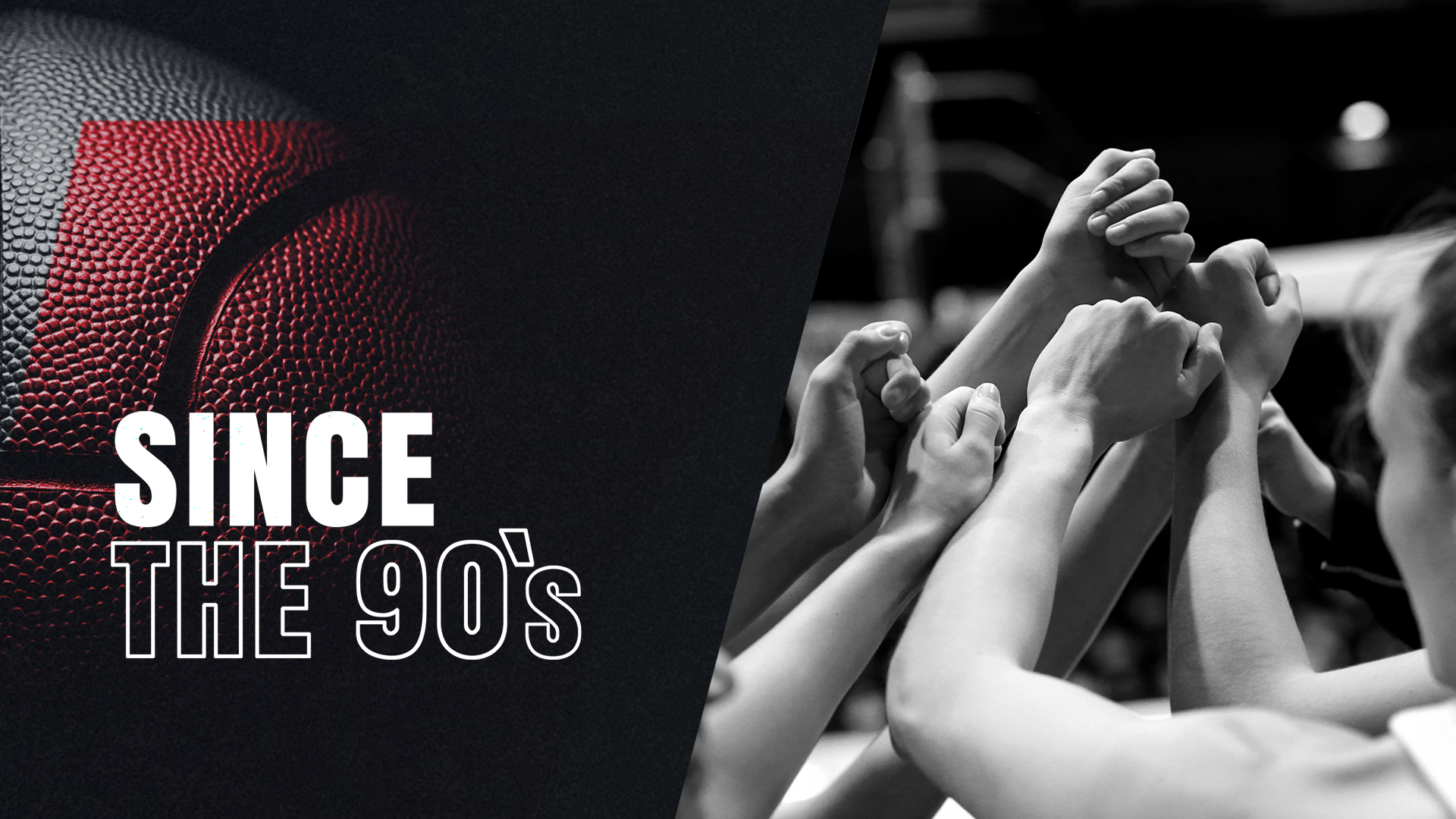 ChemCats - Layout - Werbeagentur Chemnitz